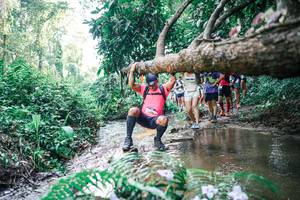 BIB: 
                            <button type="button" onclick="openModal(25465120)" class="btn btn-primary btn-sm float-right btn-popup" data-toggle="modal" data-target=".modal-high-quality">
                        <i class="fas fa-shopping-cart"></i> Add to Cart
                    </button>
                                            <button type="button" onclick="isThisMe(25465120, true)" class="btn btn-success btn-sm float-right btn-popup btn-isme hidden" data-toggle="tooltip" data-placement="bottom" title="นี่คือรูปของคุณใช่ไหม คลิกที่นี่เพื่อเอาเข้าอัลบั้ม">
                        <i class="fas fa-plus"></i> Add to album
                    </button>
                    <button type="button" onclick="isThisMe(25465120, false)" class="btn btn-warning btn-sm float-right btn-popup btn-isnotme hidden">
                        <i class="fas fa-ban"></i> Remove from album
                    </button>